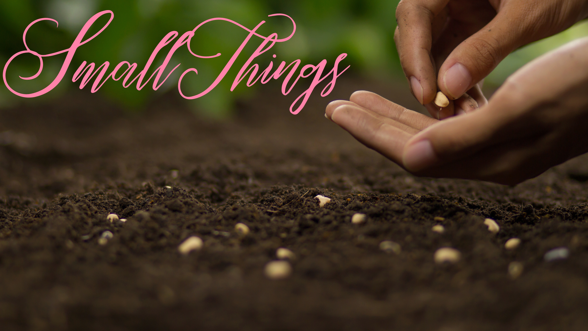 Small Things