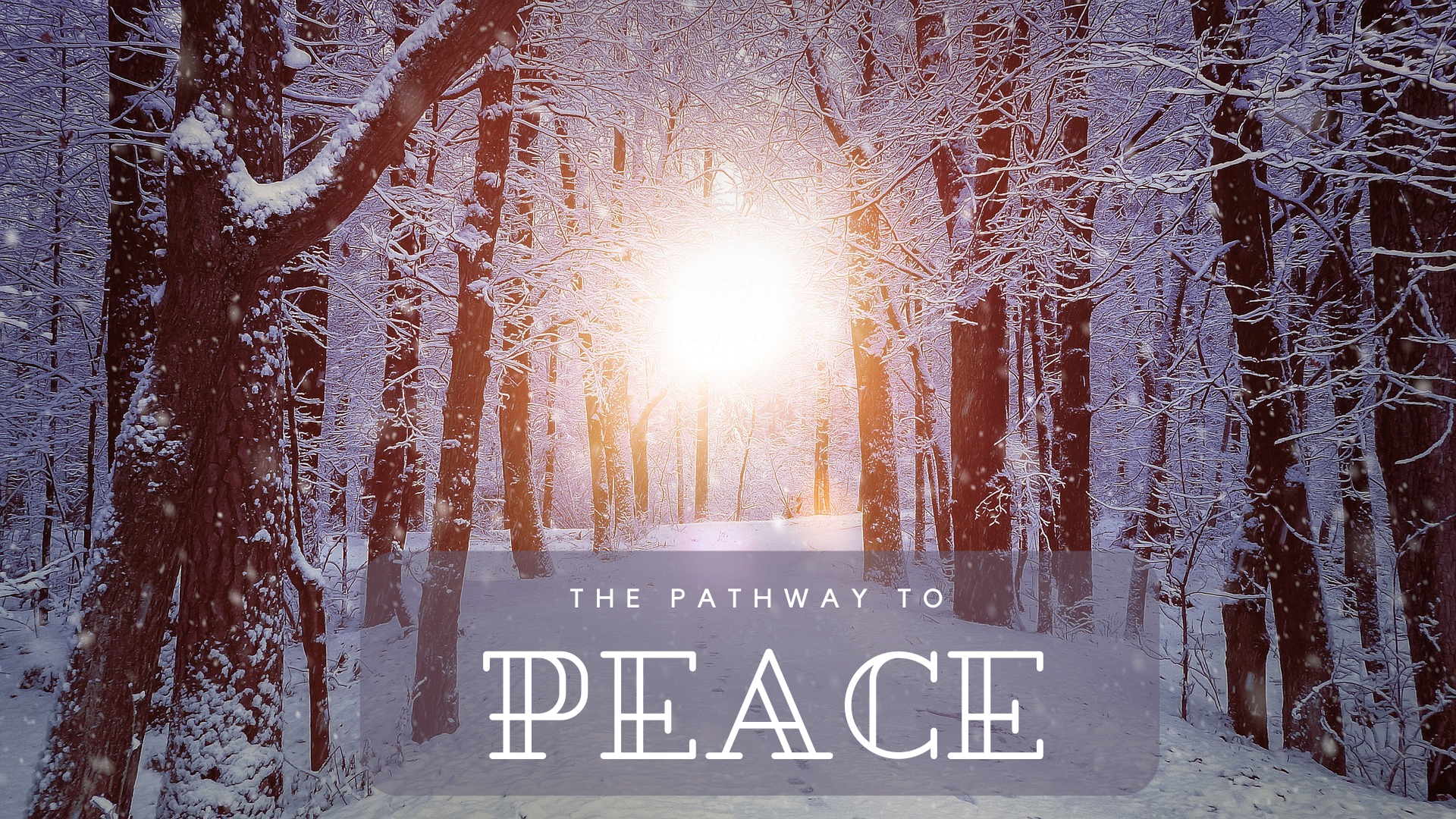 The Pathway to Peace (Advent of Peace)