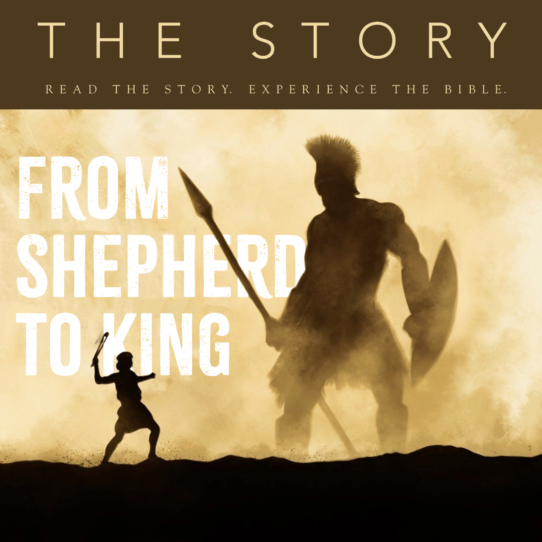 From Shepherd To King