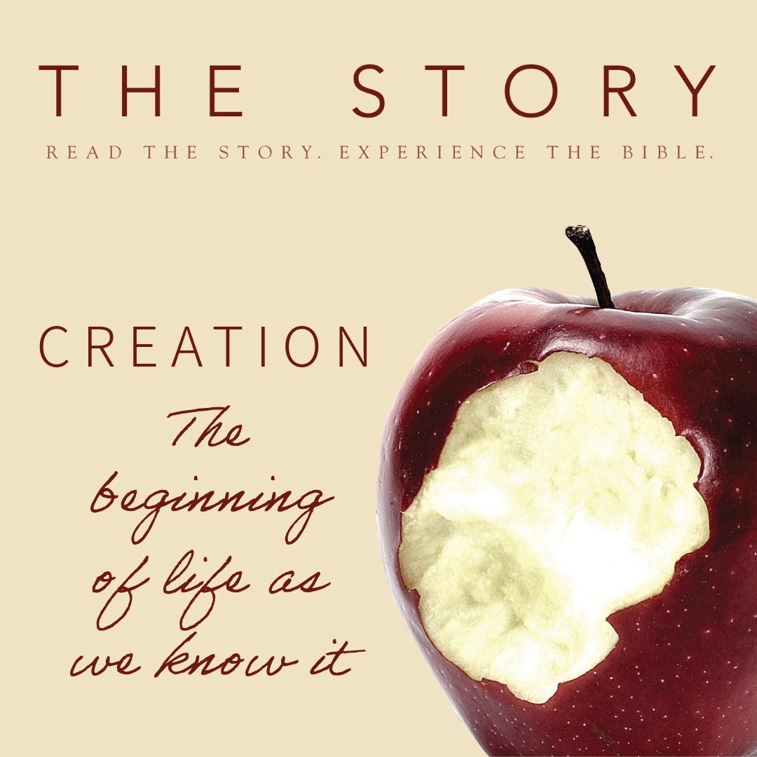 The Story Week 1: The Beginning of Life as We Know It