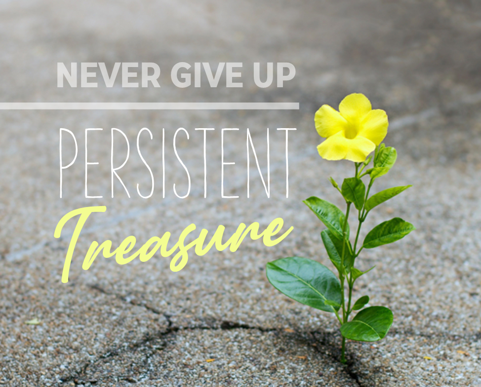 Never Give Up: Persistent Treasure (part 2)