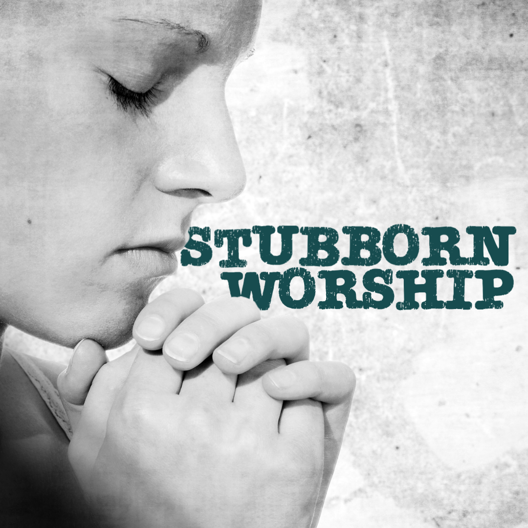 Stubborn Worship