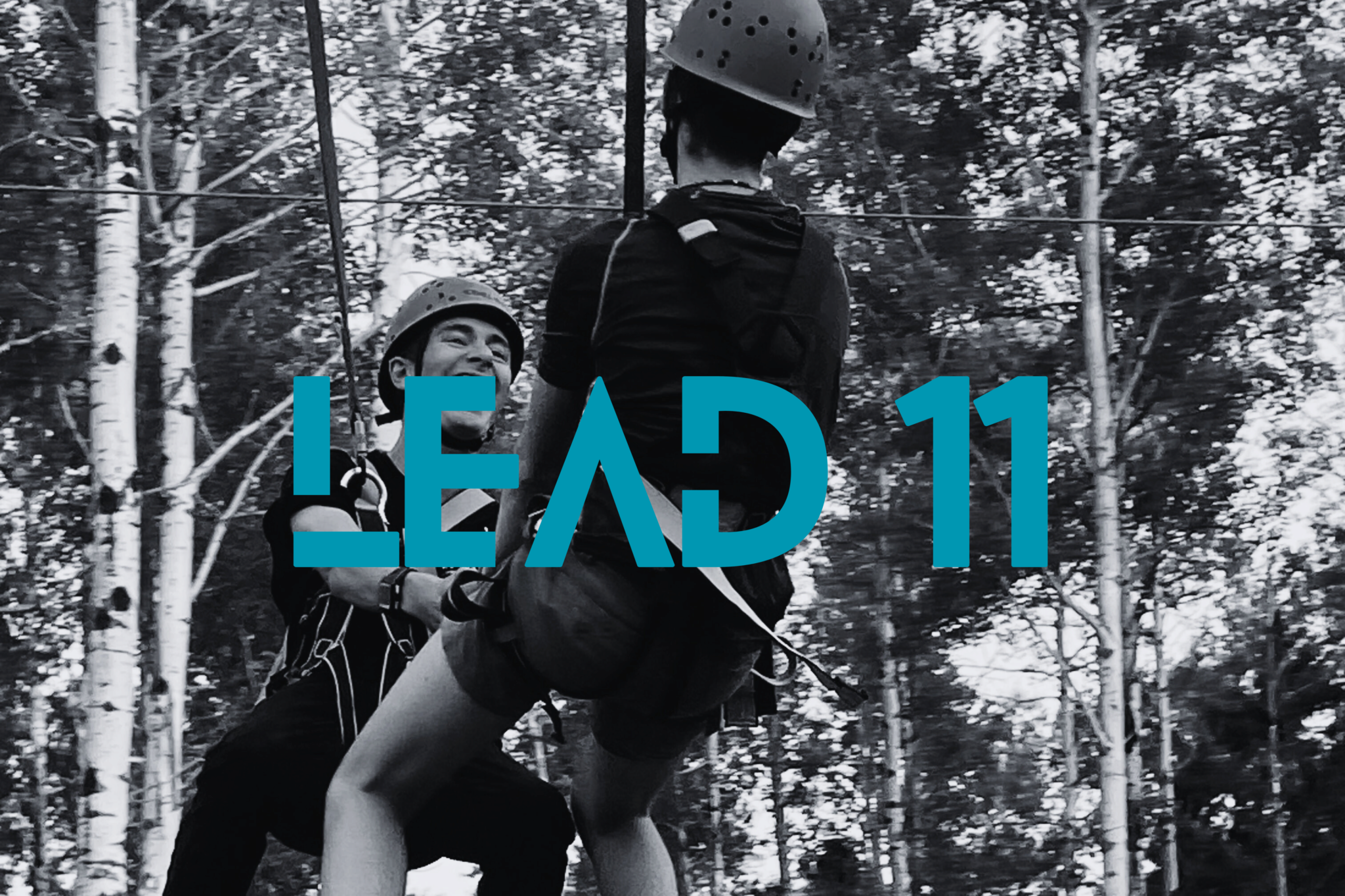 Lead 11