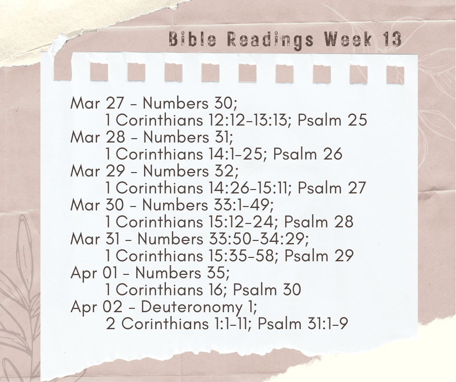 2023 Bible Plan - Week 13