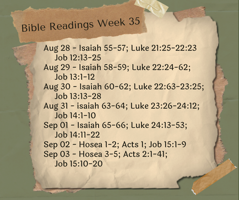 2023 Bible Plan - Week 35