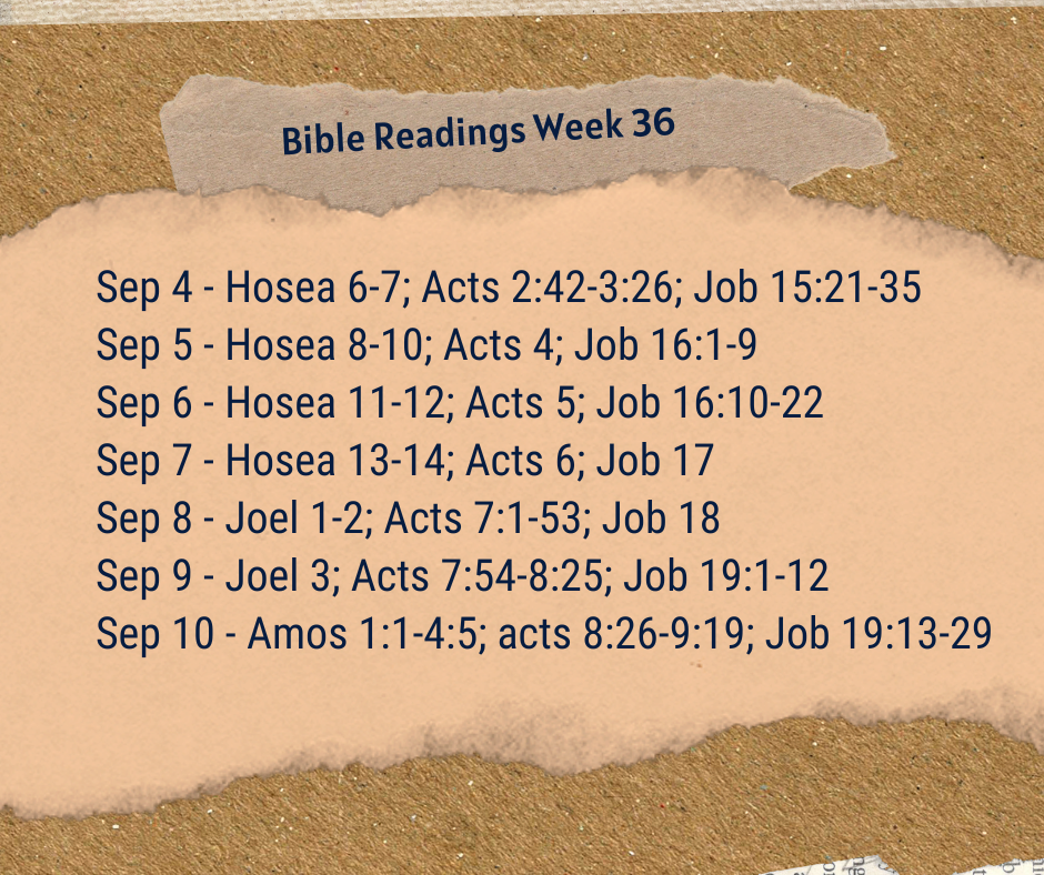 2023 Bible Plan - Week 36