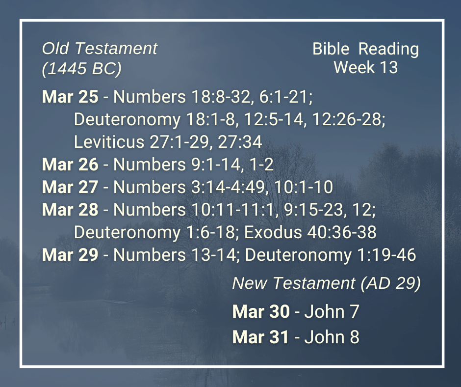 2024 Bible Plan - Week 13