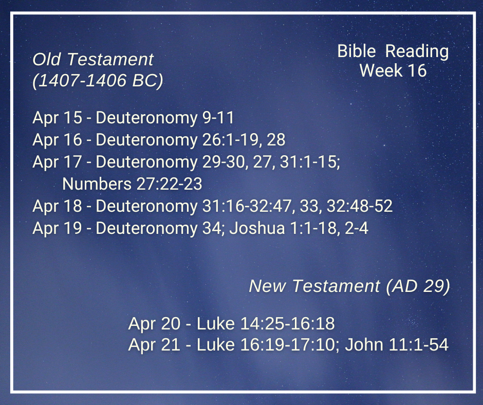 2024 Bible Plan - Week 16