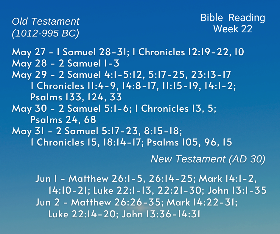 2024 Bible Plan - Week 22