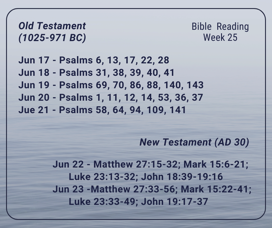 2024 Bible Plan - week 25