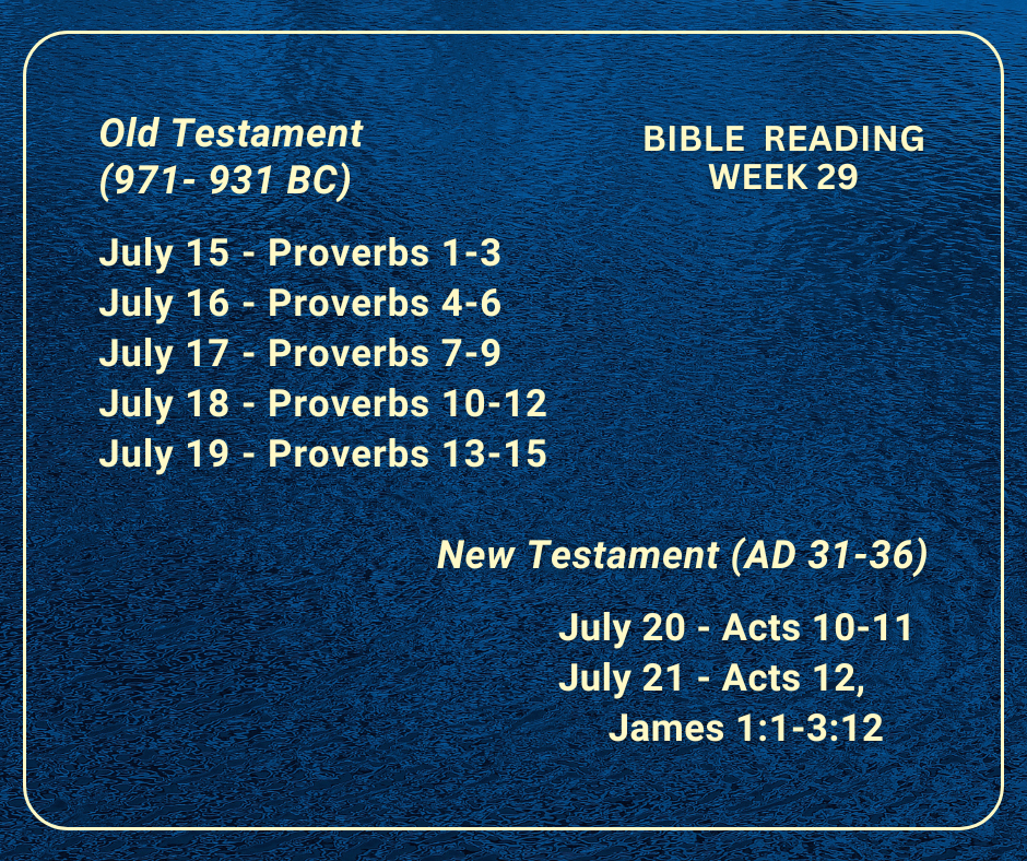 2024 Bible Plan - week 29