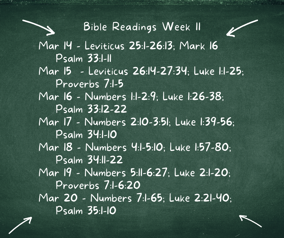 Bible Reading Week 11