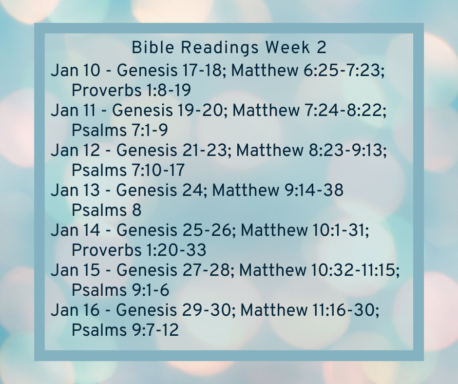 Bible Reading Week 2