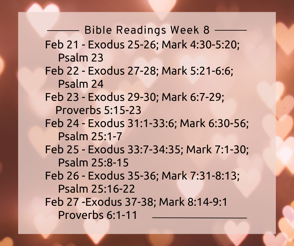 Bible Reading Week 8