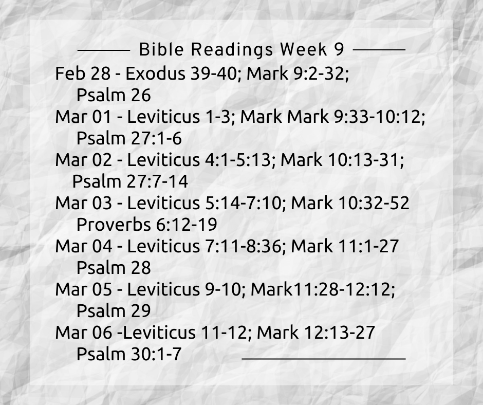 Bible Reading Week 9