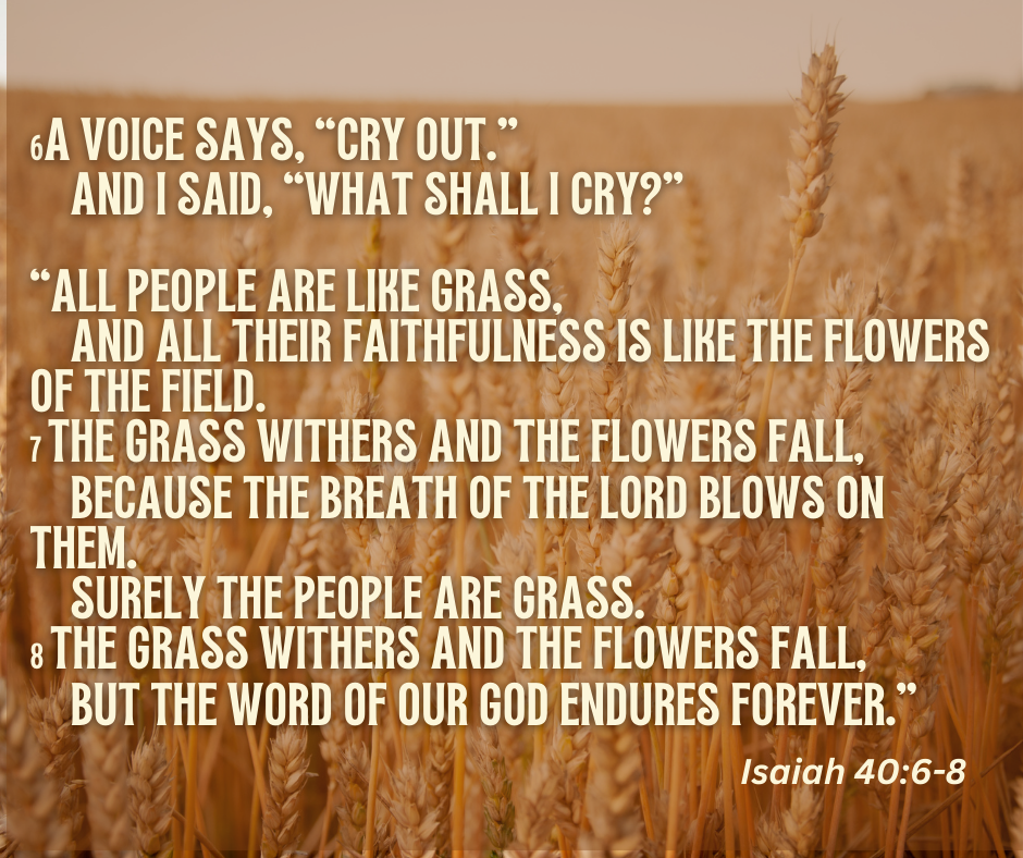 2025 Memory Verse 24