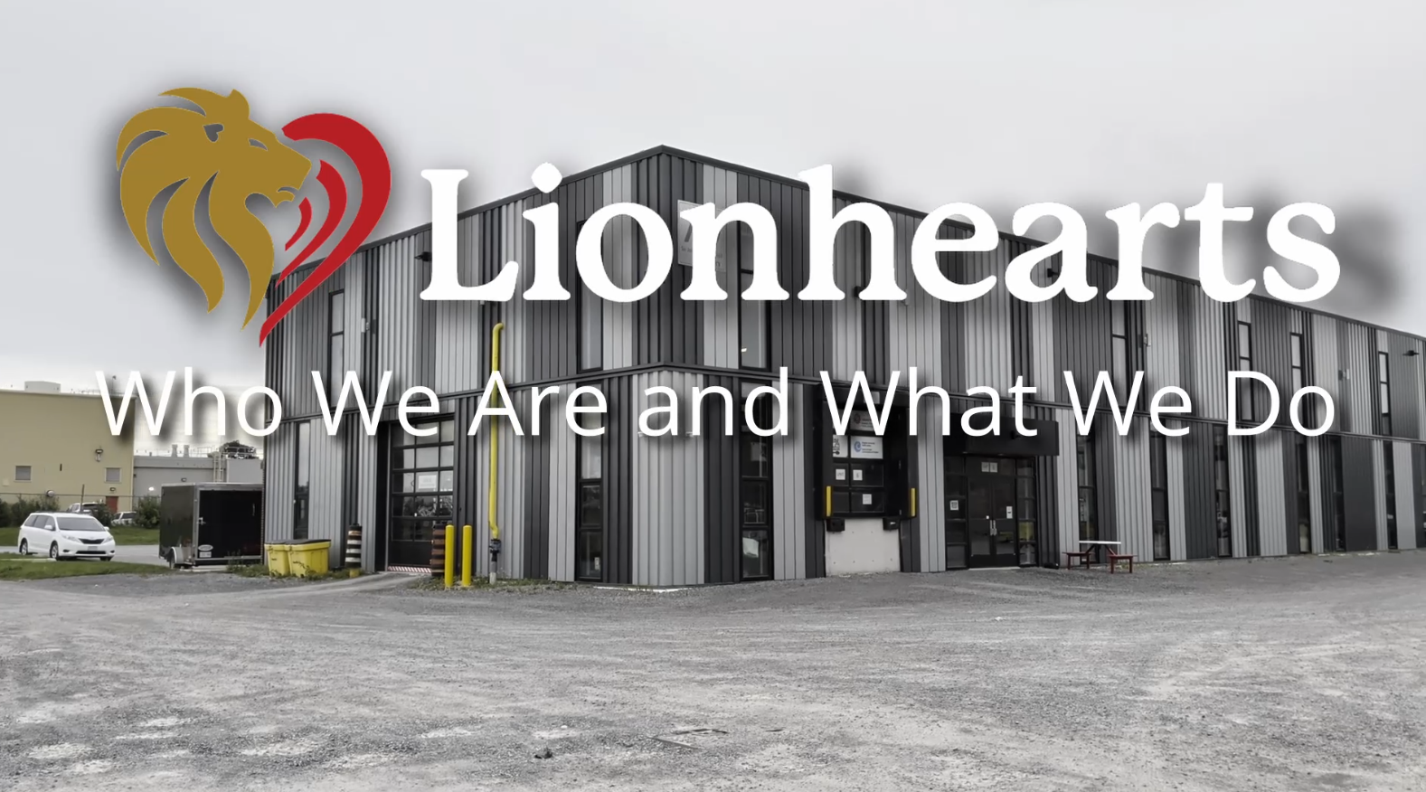 Ever Wonder What Lionhearts Does?