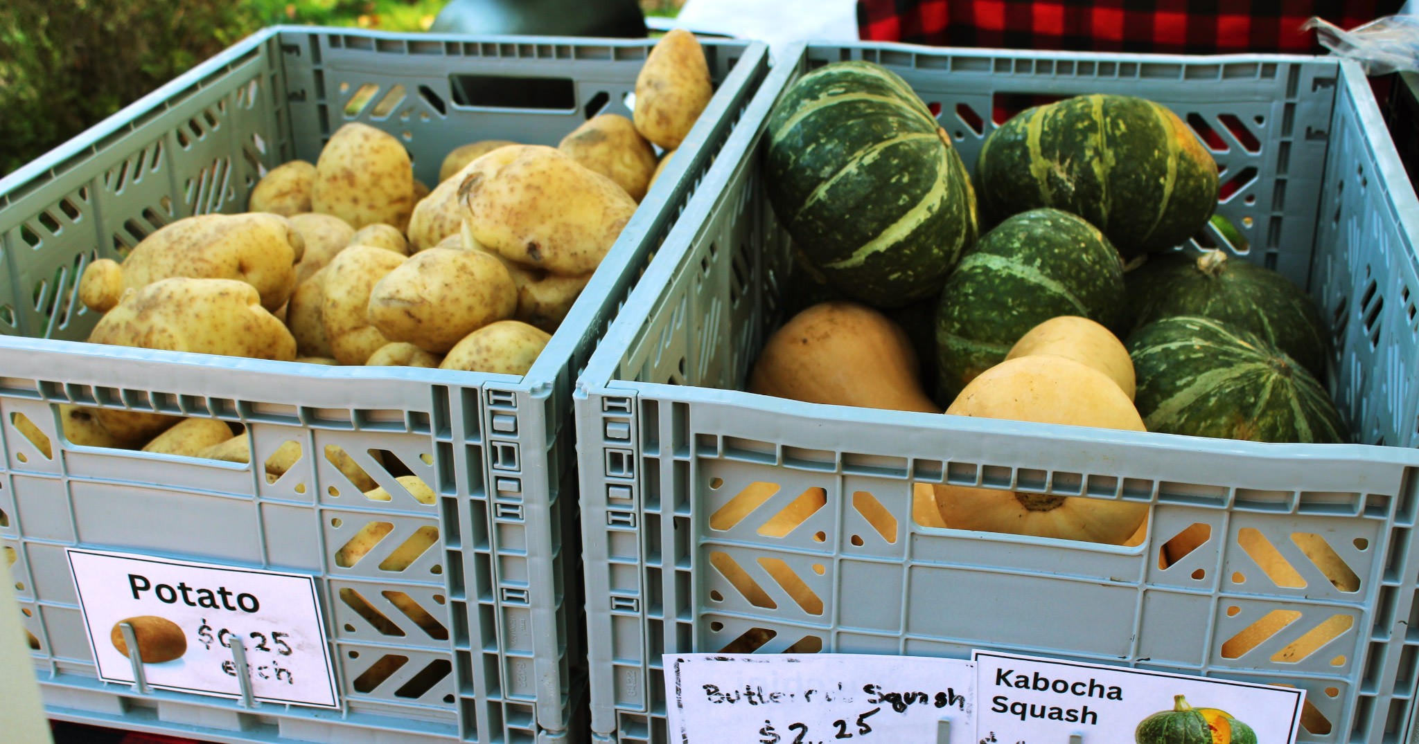 Fresh Food Market Pop-ups