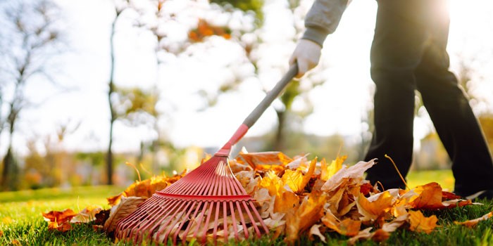 Property Maintenance