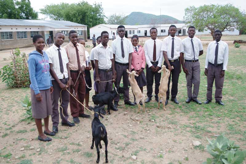 The Extraordinary Gift of a Goat