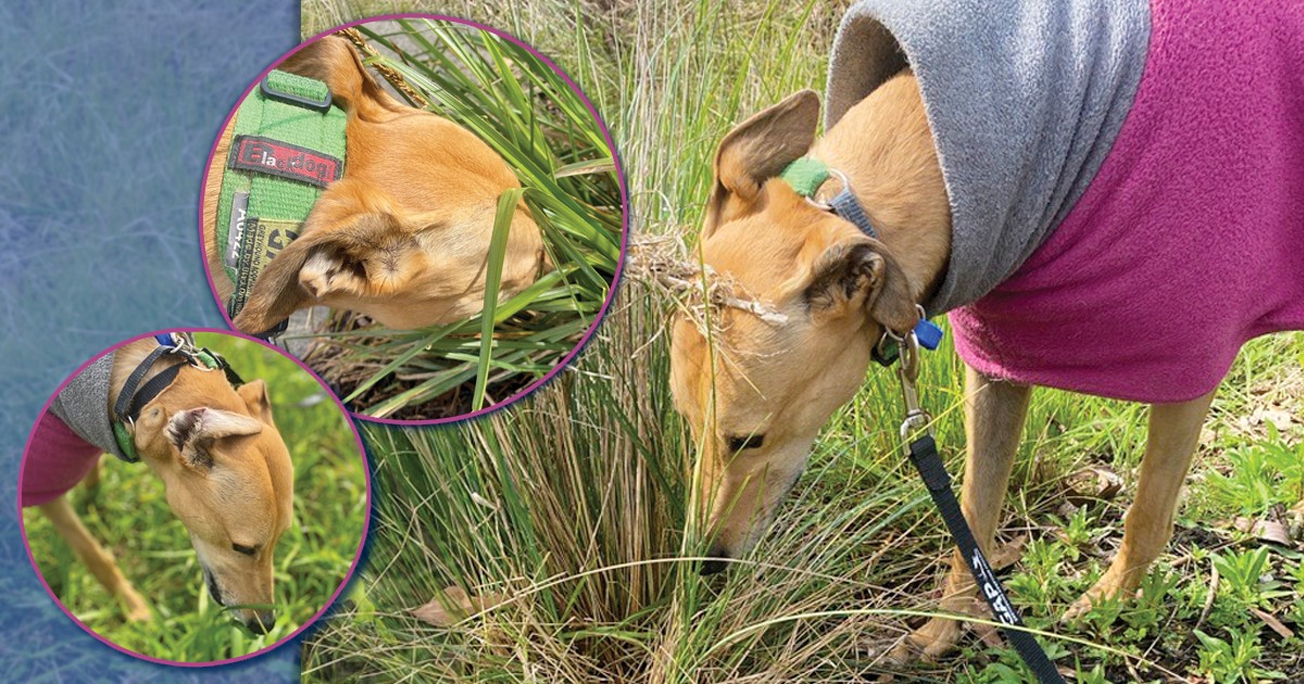 The Gift of Being Present