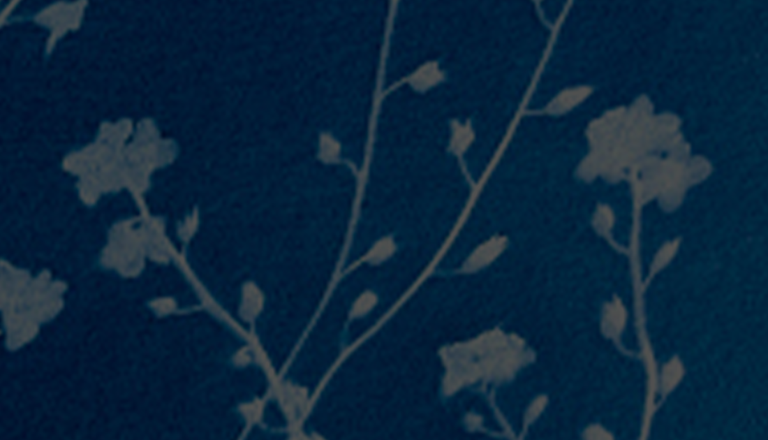 Indigenous Lenten Guide