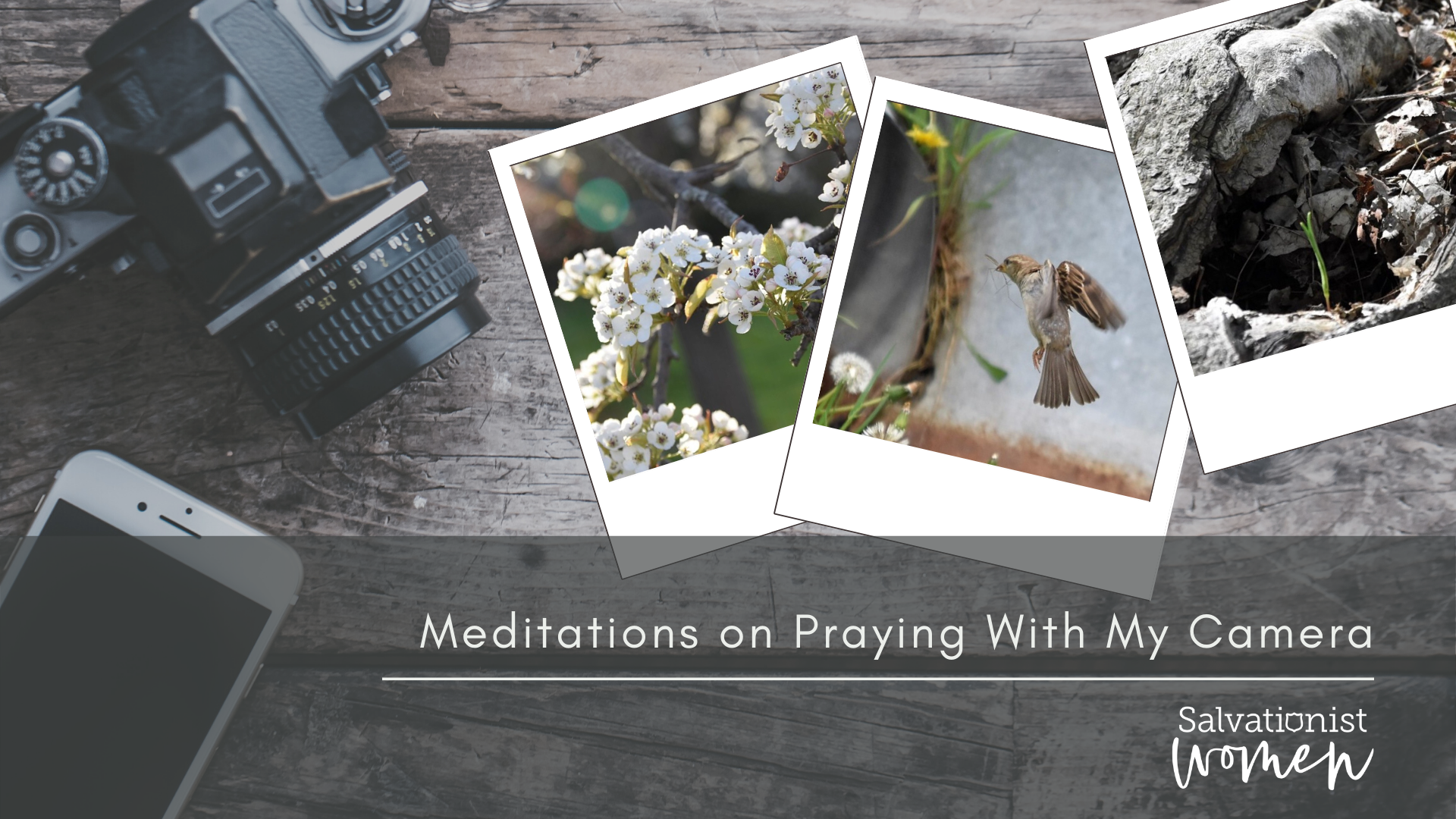 Meditations on Praying With My Camera