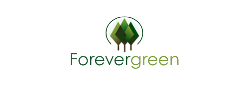 Forevergreen